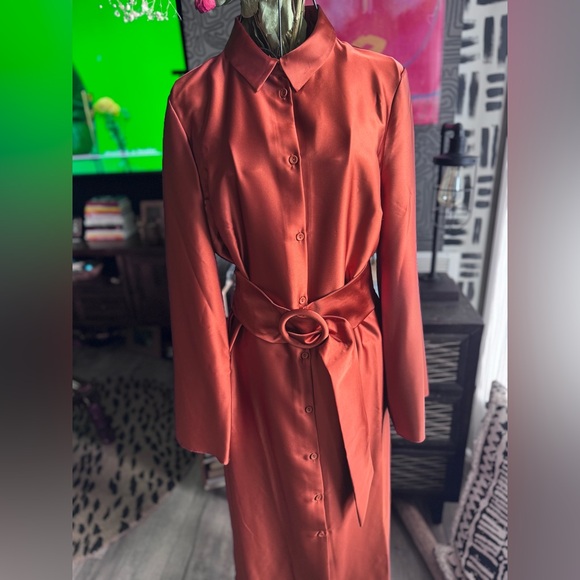 ASOS Button down dress - Picture 6 of 13